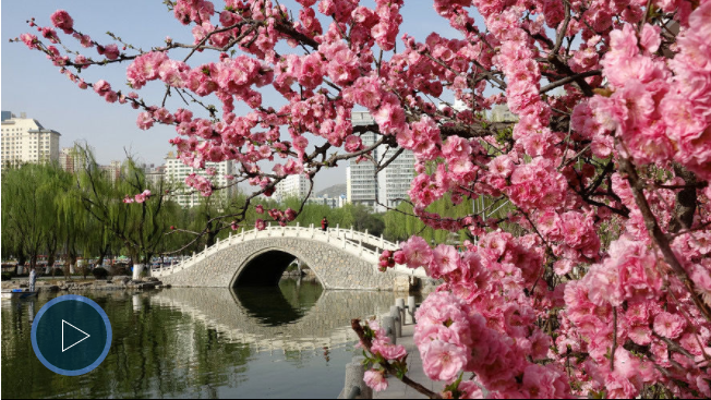 微信截图_20210827153700.png